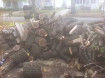 [Hearth.com] Pile of Wood in Driveway