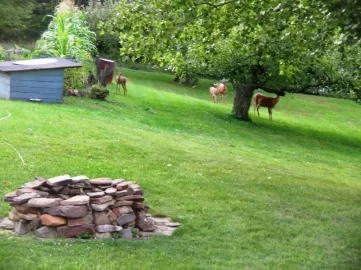 [Hearth.com] Post up pics of your outdoor fireplace/firepit