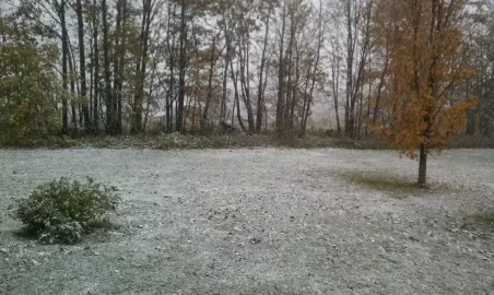[Hearth.com] So it begins... snow...................