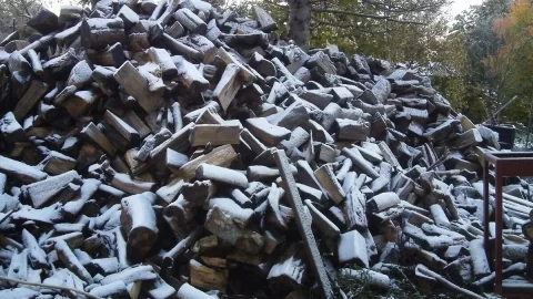 [Hearth.com] So it begins... snow...................
