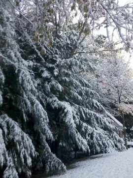 [Hearth.com] Holy Cow - SNOW!!