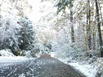 [Hearth.com] So it begins... snow...................