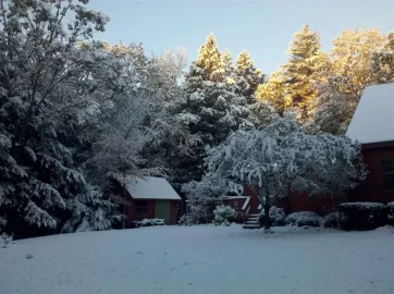 [Hearth.com] So it begins... snow...................