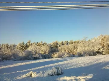 [Hearth.com] So it begins... snow...................