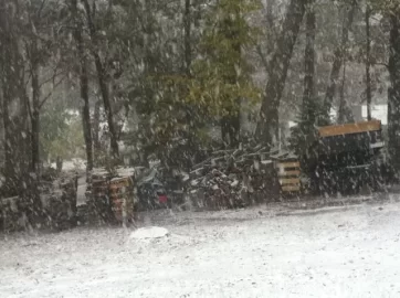 [Hearth.com] this mornings fun