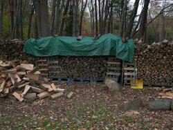 Filled my "woodshed" last night.