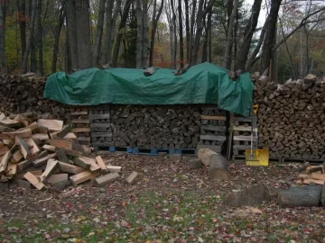 [Hearth.com] Filled my "woodshed" last night.