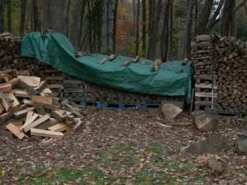 [Hearth.com] Filled my "woodshed" last night.