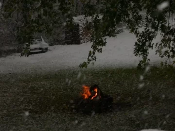 [Hearth.com] Filled my "woodshed" last night.