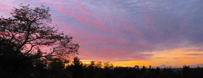 [Hearth.com] Sunset on the Olympics