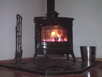 [Hearth.com] Look what followed me home!