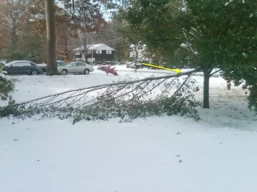[Hearth.com] Anyone have tree damage from this Winter Nor'Easter in October? - What kind? Any Pics?
