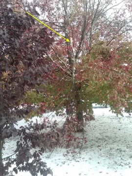 [Hearth.com] Anyone have tree damage from this Winter Nor'Easter in October? - What kind? Any Pics?