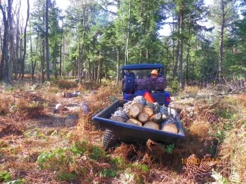 [Hearth.com] Hauling The Cherry Out