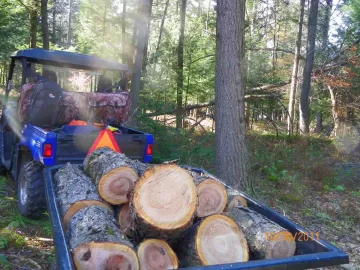 [Hearth.com] Hauling The Cherry Out