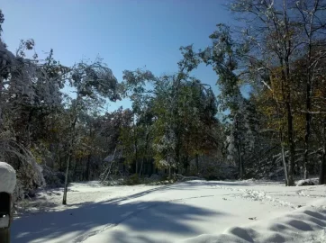 [Hearth.com] This Nor'Easter is gonna suck for those that like their trees standing