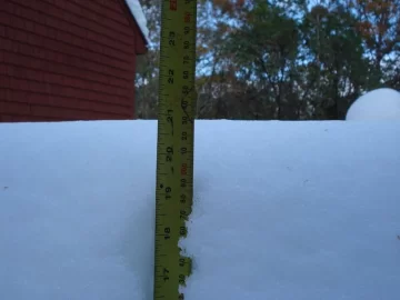 [Hearth.com] This Nor'Easter is gonna suck for those that like their trees standing