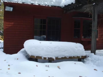 [Hearth.com] This Nor'Easter is gonna suck for those that like their trees standing