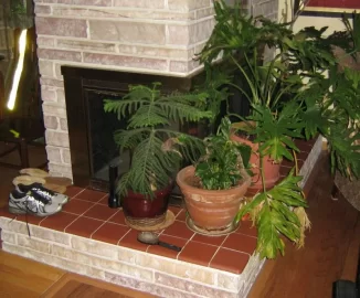 [Hearth.com] Local dealers carry Jotul, Buck, Regency and Hampton.  Any thoughts?