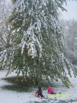 [Hearth.com] WEEKEND SNOWSTORM HERE IN CENTRAL PA???....guess I better bring in some wood!!
