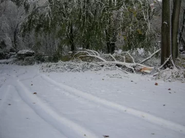 [Hearth.com] Anyone have tree damage from this Winter Nor'Easter in October? - What kind? Any Pics?