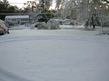 [Hearth.com] Anyone have tree damage from this Winter Nor'Easter in October? - What kind? Any Pics?