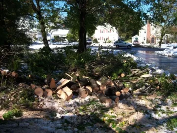 [Hearth.com] Anyone have tree damage from this Winter Nor'Easter in October? - What kind? Any Pics?