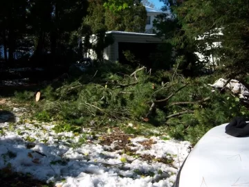 [Hearth.com] Anyone have tree damage from this Winter Nor'Easter in October? - What kind? Any Pics?