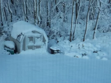 [Hearth.com] Jersey snow
