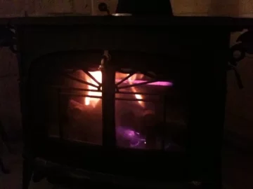 [Hearth.com] Strange cat behavior