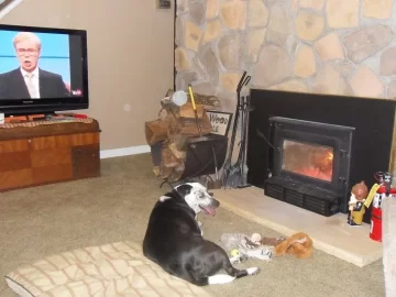 [Hearth.com] Couch too close to insert?