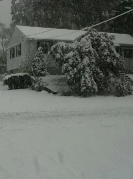 [Hearth.com] Pictures Of the ct storm