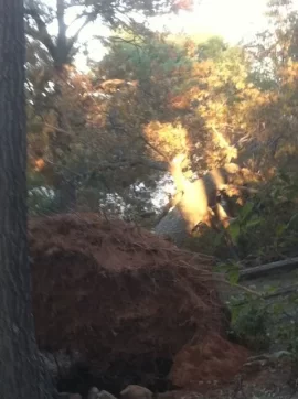 [Hearth.com] Pictures Of the ct storm
