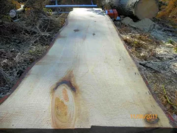 [Hearth.com] Milling on Sunday