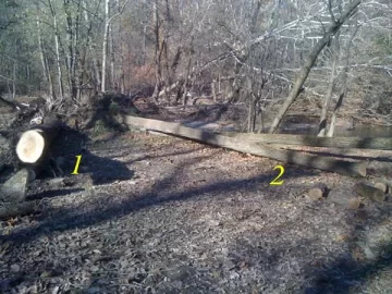 [Hearth.com] Double Tree ID Request