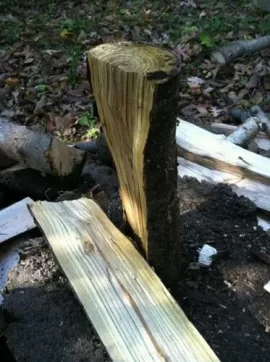 [Hearth.com] Yellow Wood ID