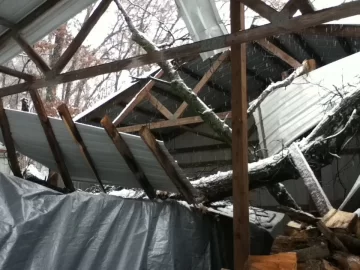 [Hearth.com] My Wood Shed is Having a Bad Day