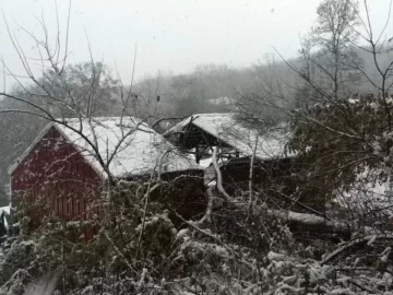 [Hearth.com] My Wood Shed is Having a Bad Day