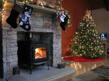 [Hearth.com] Free standing stove or insert