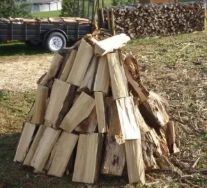 [Hearth.com] Free Black Locust Log