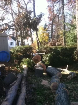 [Hearth.com] Todays Fun(updated with more pics)