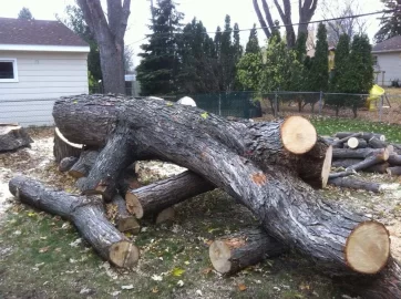[Hearth.com] My Next Chainsaw Will Be A...