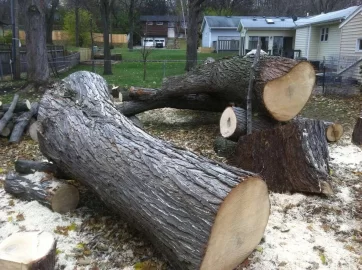 [Hearth.com] My Next Chainsaw Will Be A...