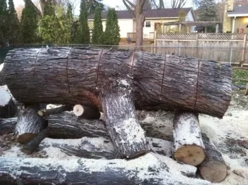 [Hearth.com] My Next Chainsaw Will Be A...
