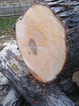 [Hearth.com] My Next Chainsaw Will Be A...