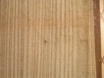 [Hearth.com] Cut the Red Elm or let it go?