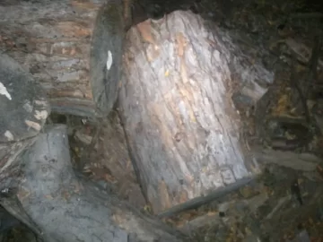 [Hearth.com] wood id for newbie please