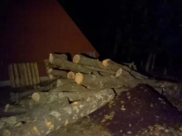 [Hearth.com] Log Length via a tree service - how much?