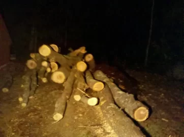 [Hearth.com] Log Length via a tree service - how much?
