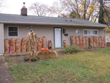[Hearth.com] My love/hate relationship with trees...